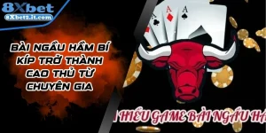 Bài Ngầu Hầm Bí Kíp Trở Thành Cao Thủ Từ Chuyên Gia