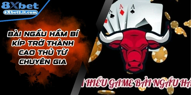 Bài Ngầu Hầm Bí Kíp Trở Thành Cao Thủ Từ Chuyên Gia