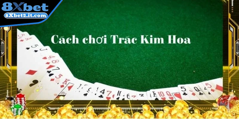 Giải mã luật chơi Trác Kim Hoa cơ bản 