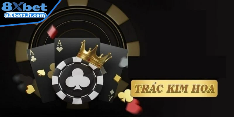 Tìm hiểu Trác Kim Hoa là gì?