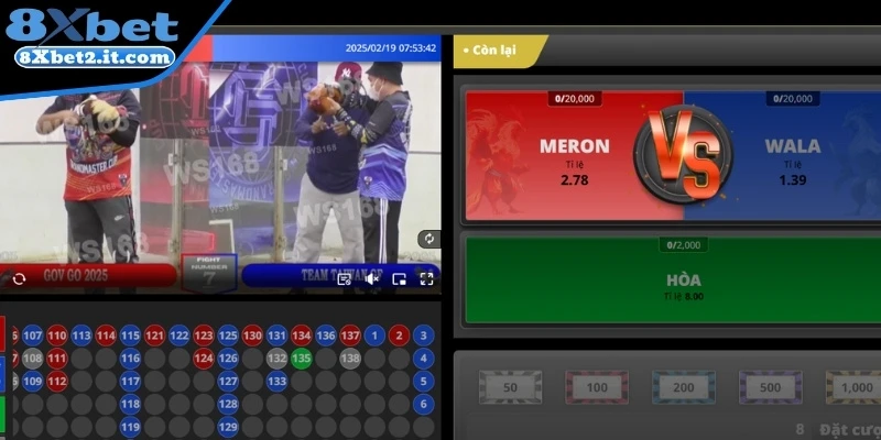Hướng dẫn tham gia cược Đá Gà 8xbet cho người mới