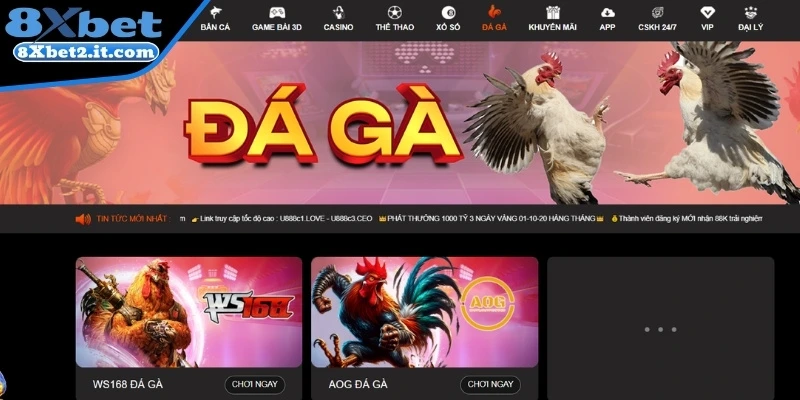 Khám phá sảnh Đá Gà 8xbet