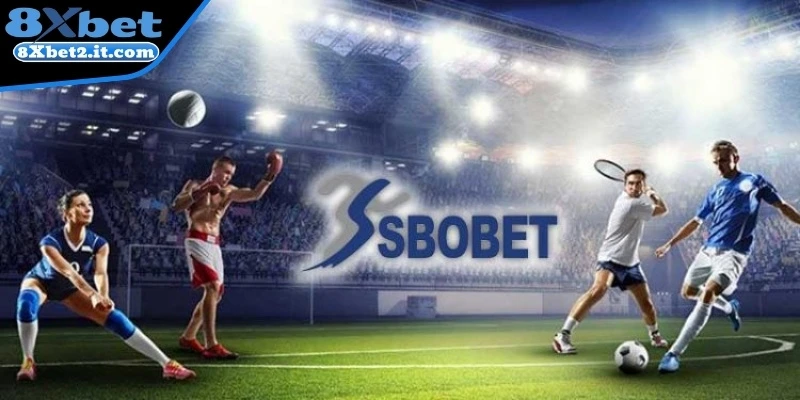 Nhà phát hành SBOBET Sports